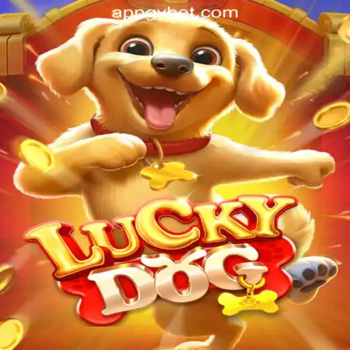 Exploring LuckyDog: An Engaging Casino Game at GYbet